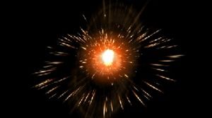 Meet your Posher, Terry